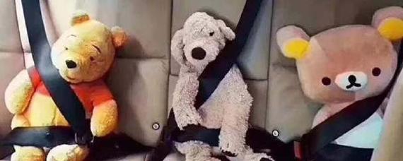 汽车后排安全带不系会不会被罚款