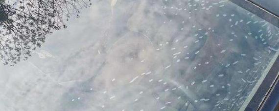 汽车膜起泡了如何处理