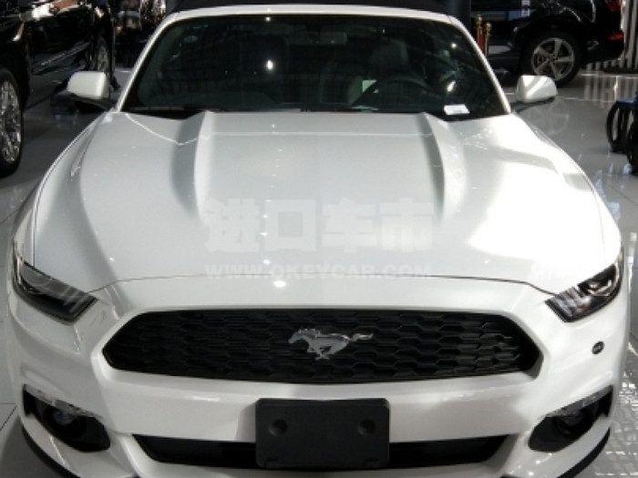 54ffe541c2d749779a8003f90e858ae5