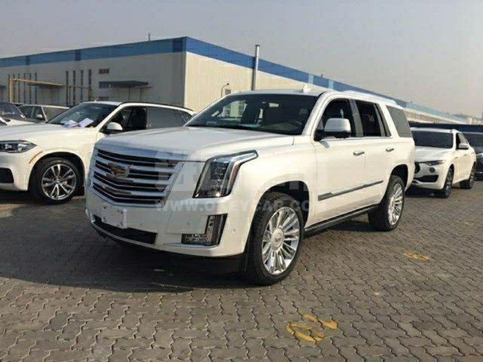 0f7ca702103e48faa3562c30e3022590