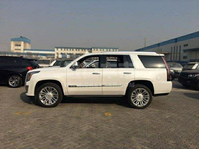 59a43225f6ce43b8a0289ea1dda3e02c