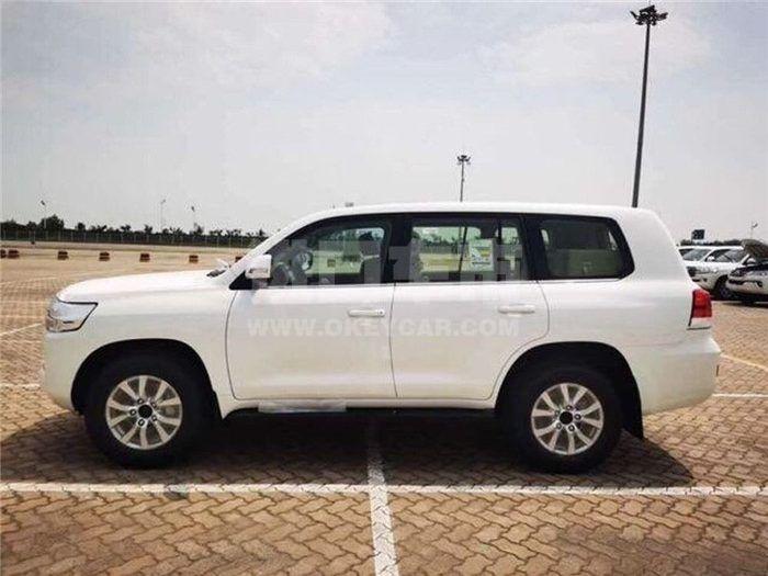 7049e57d54c743cb87ac18ee51372e74