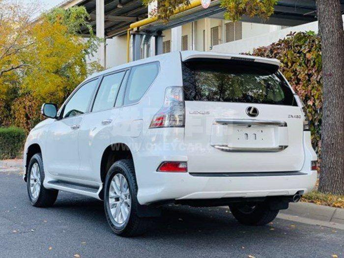 微信图片_202011160933547_副本