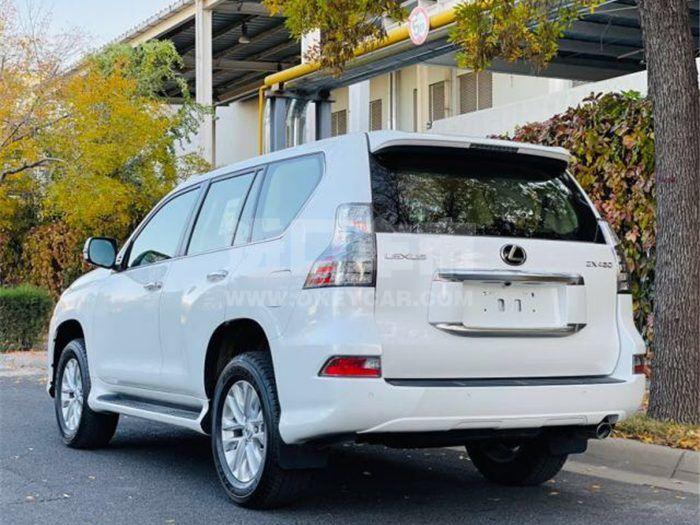 微信图片_202011251527354