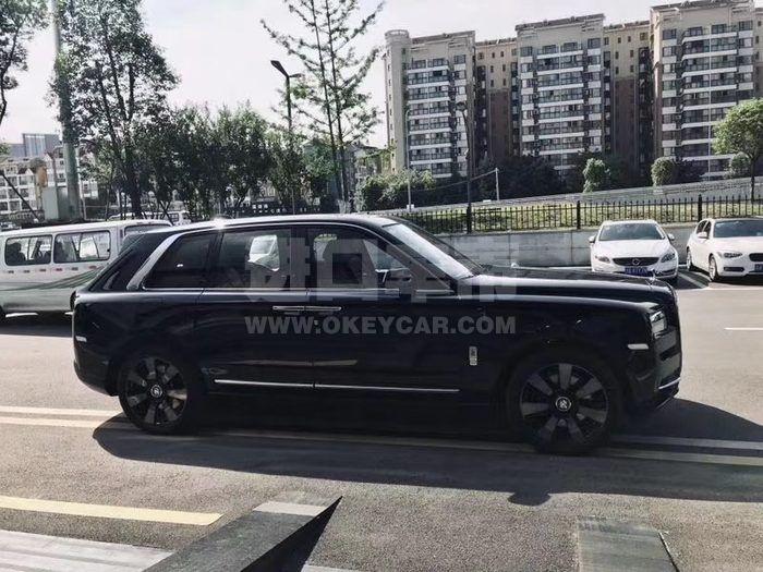 3490615_182633816051