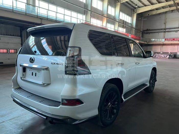 微信图片_202311100930351