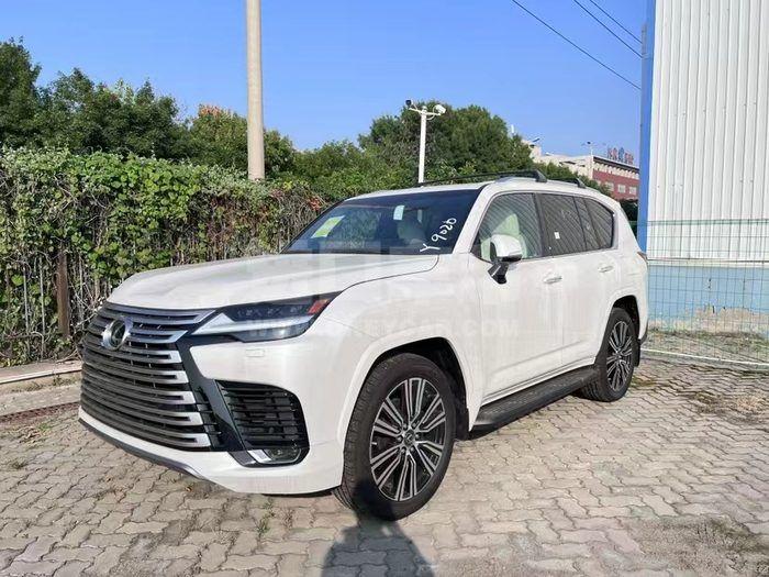 微信图片_20231121085822