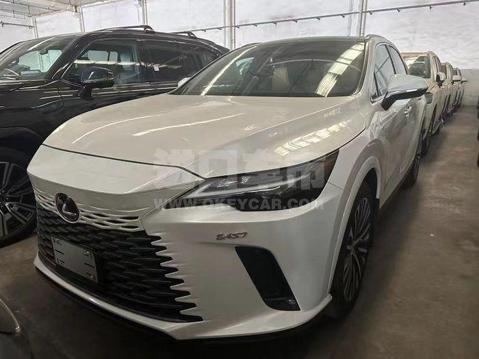 微信图片_20240409164938