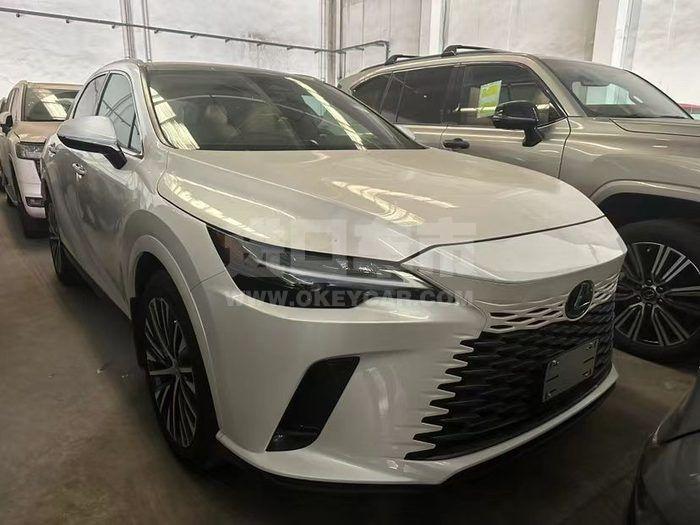 微信图片_202404091649381