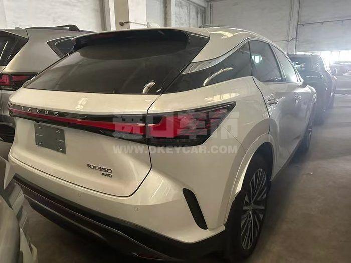 微信图片_20240409164936