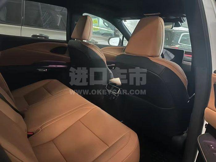 微信图片_202404091649362