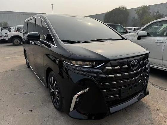 天津25款韩版埃尔法外观经典豪华设计风格