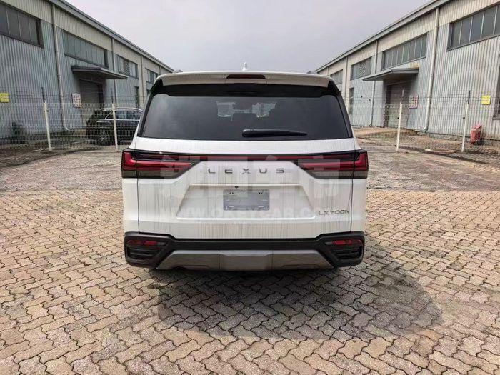 微信图片_20251108204455_335_164