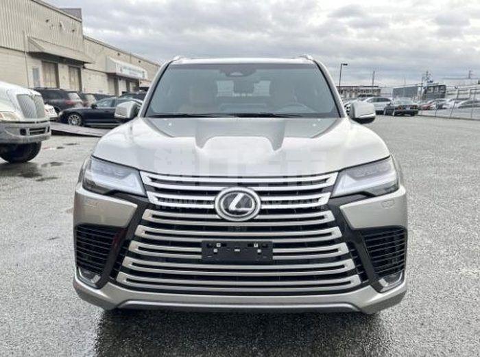 微信图片_20260212161946_776_9