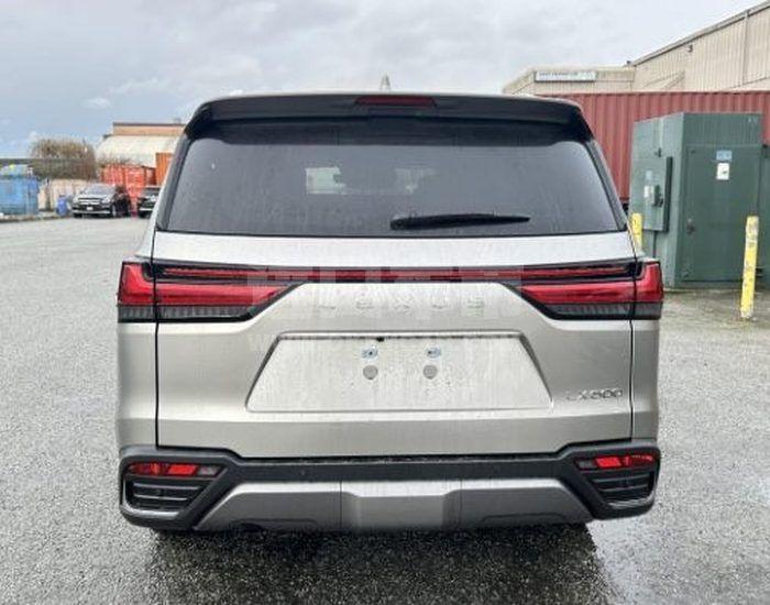 微信图片_20260212161950_780_9