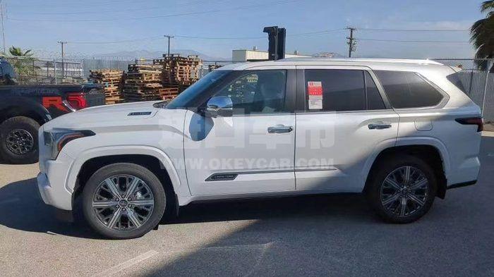 微信图片_20260331194654_1046_9