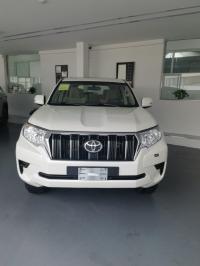 2023款 丰田霸道4000 4.0L TX-L 九气 外挂 17轮