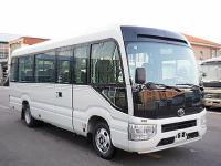 2020款 丰田考斯特2.7L 标准型