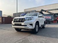 2023款 丰田霸道4000 4.0L TX-L 九气 外挂 17轮