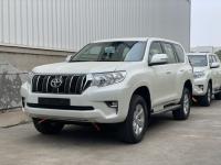 2023款 丰田霸道4000 4.0L EX-R 迪拜版