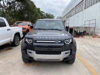 2023款 路虎卫士 110 四门 3.0T 柴油D250 S