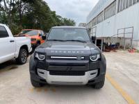 2023款 路虎卫士 110 四门 3.0T 柴油D250 S