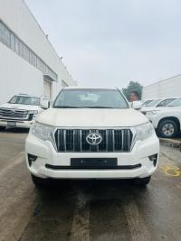 2023款 丰田霸道4000 4.0L TX-L 两气 外挂 无天窗