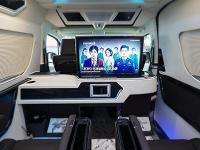 丰田海狮(进口)