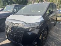 2021款 丰田埃尔法3.5L 两驱 Executive 顶配