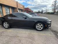 福特Mustang(野马)