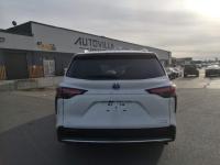 丰田塞纳(赛那)