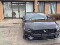 2024款 福特Mustang(野马) 2.3T 自动 硬顶 标准型