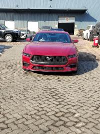 2024款 福特Mustang(野马) 2.3T 自动 硬顶 标准型