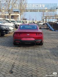 福特Mustang(野马)