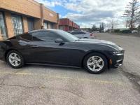 福特Mustang(野马)