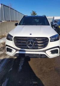 2024款 奔驰GLS450 7座 独家包 运动包 雷测包