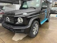 2024款 奔驰G400d