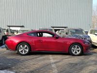 福特Mustang(野马)