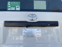 丰田海狮(进口)