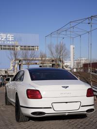 24款 4.0T 雅度版