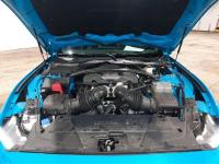 福特Mustang(野马)