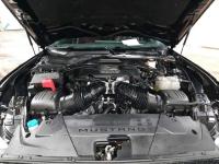 福特Mustang(野马)