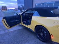 福特Mustang(野马)