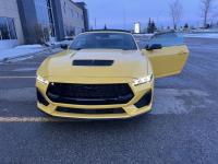 福特Mustang(野马)