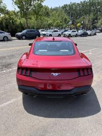 福特Mustang(野马)