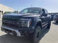 2024款 福特F150(猛禽) 3.5T 四门 Raptor猛禽 37性能包