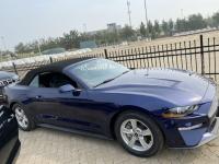 福特Mustang(野马)