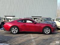 福特Mustang(野马)