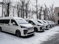 丰田海狮(进口)