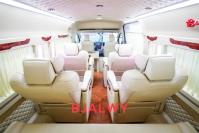 丰田海狮(进口)